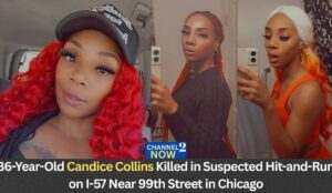 Candice Collins Chicago, Illinois Obituary-Death 36-Year-Old Identified Following Suspected Hit-and-Run on Interstate 57