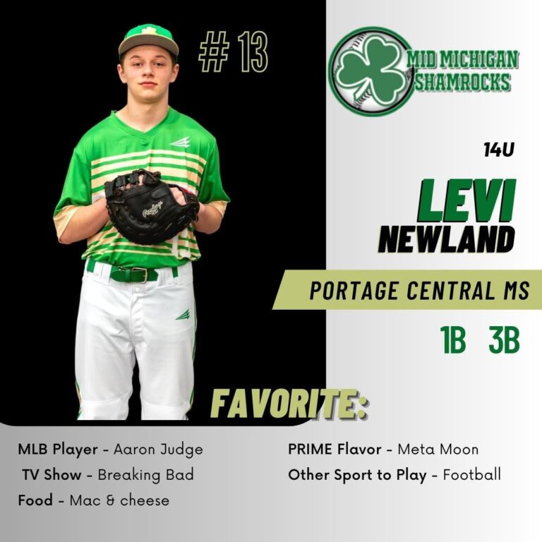 Levi Newland Portage, MI Obituary, Death Beloved Mid-Michigan Shamrocks Baseball Player Has Died