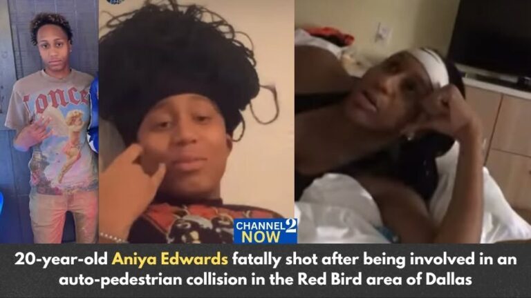 Aniya Edwards Obituary: Dallas, Texas – 20-Year-Old Woman Fatally Shot After Auto-Pedestrian Collision in Red Bird Area