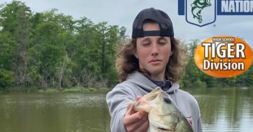 Halstyn Baggett Obituary, Saraland, Alabama Death Beloved Woman Dies Following Reported Car Accident