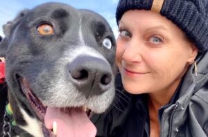Stephen Obituary, New Hanover County, NC – Death Smartwatch Alert Reveals Tragic Discovery